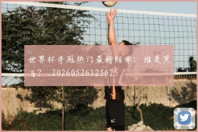 世界杯夺冠热门最新赔率:谁是黑马?_20260526125625