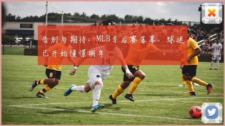告别与期待，MLB季后赛落幕，球迷已开始憧憬明年