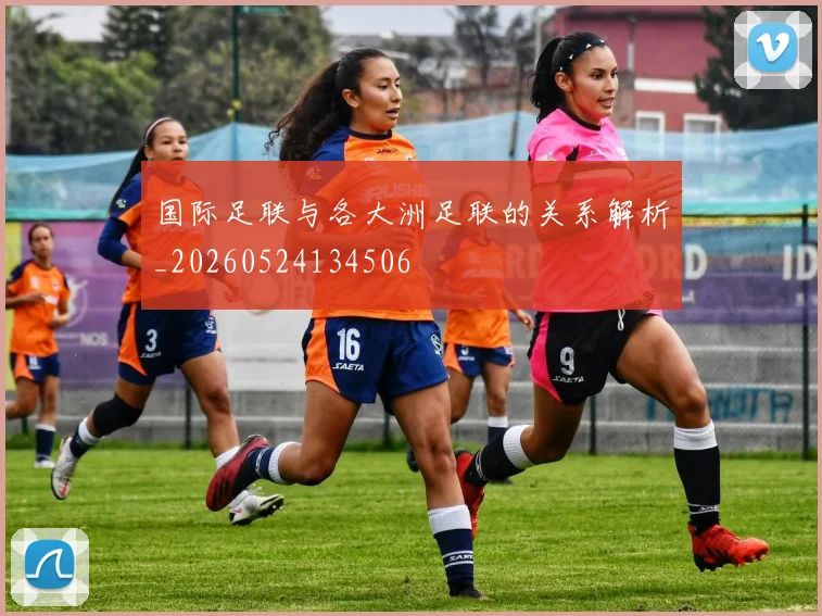 国际足联与各大洲足联的关系解析_20260524134506