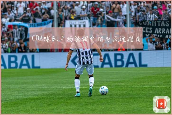 CBA球队主场场馆介绍与交通指南