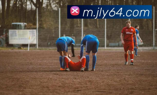 奖项证书
